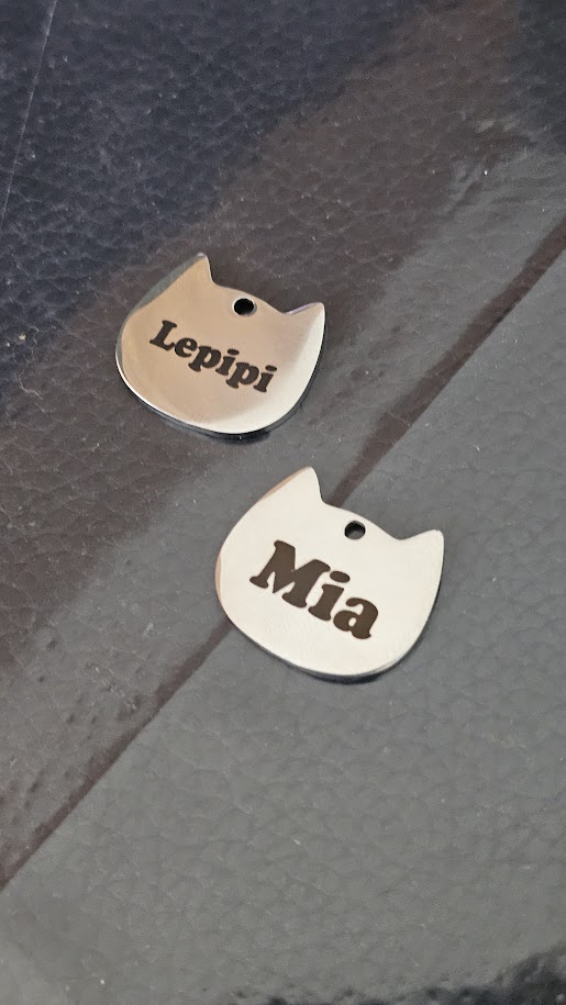 Lepipi & Mia — Gatinho prata